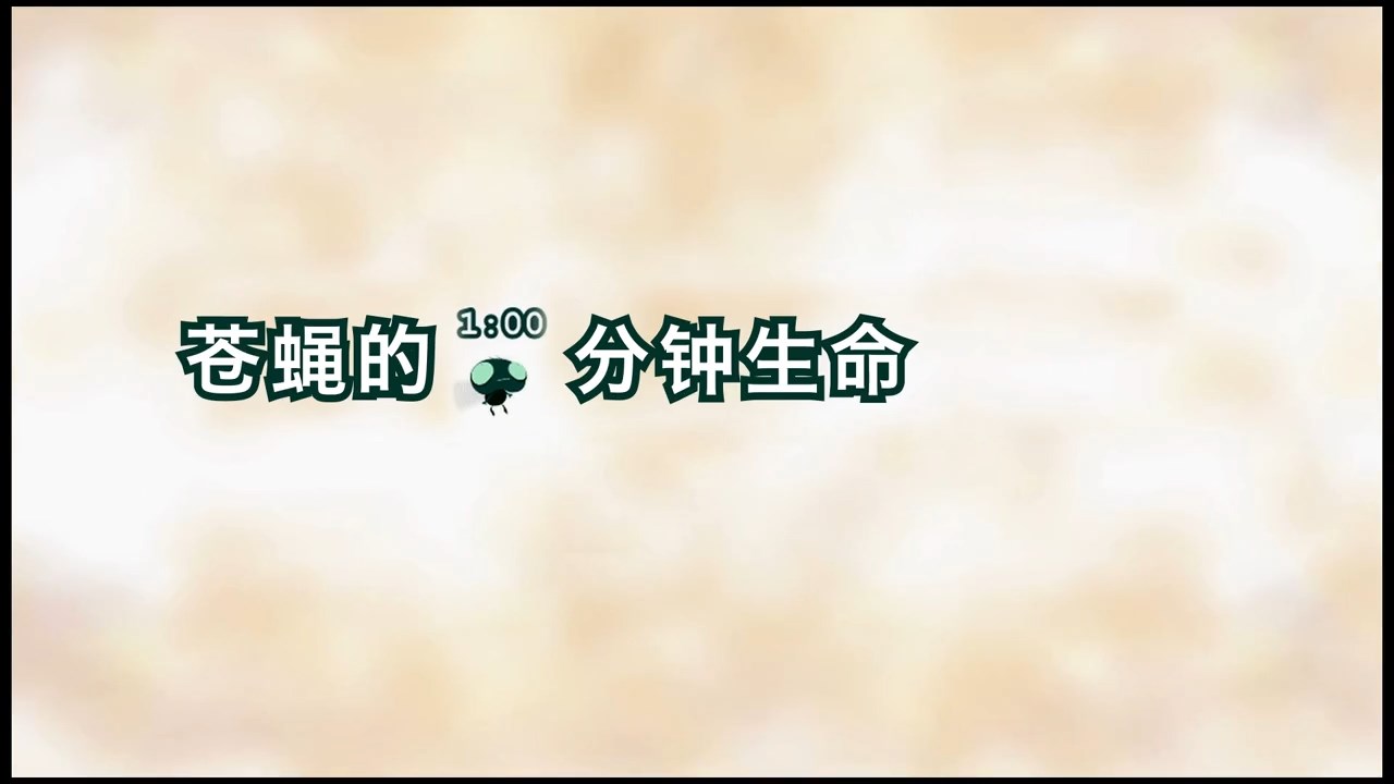 看完沉默了！蒼蠅的 60 秒，道盡了生命的珍貴與力量